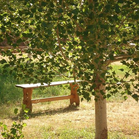 Masia El Carcaba - Moli Del Pont. Cornudella de Montsant Kültér fotó