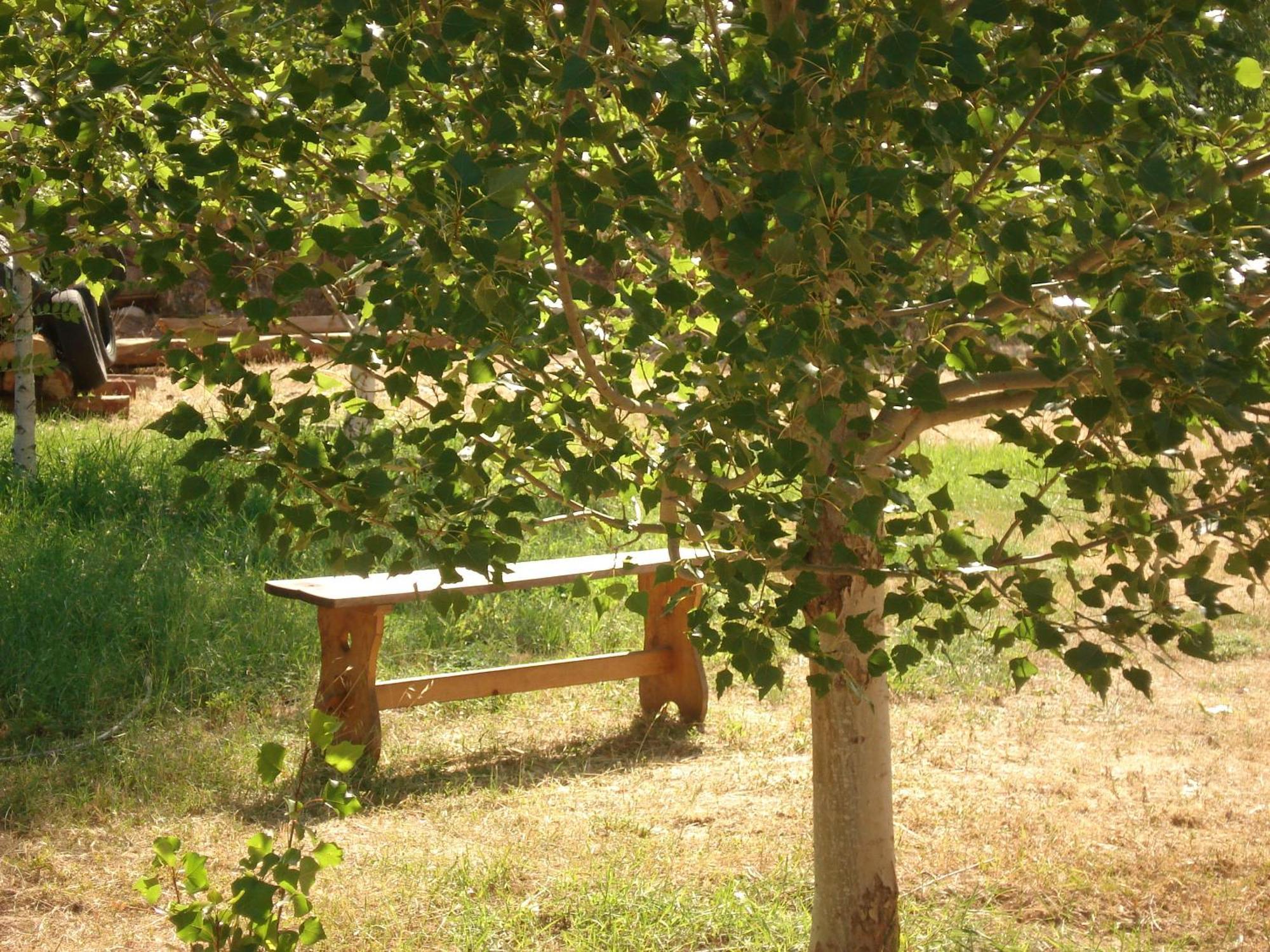 Masia El Carcaba - Moli Del Pont. Cornudella de Montsant Kültér fotó