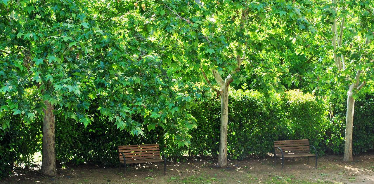 Masia El Carcaba - Moli Del Pont. Cornudella de Montsant Kültér fotó