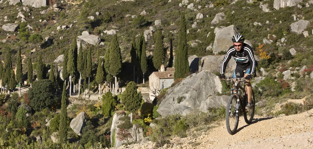 Masia El Carcaba - Moli Del Pont. Cornudella de Montsant Kültér fotó