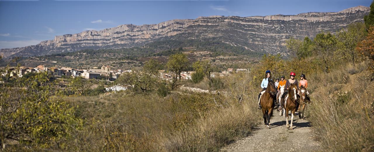 Masia El Carcaba - Moli Del Pont. Cornudella de Montsant Kültér fotó